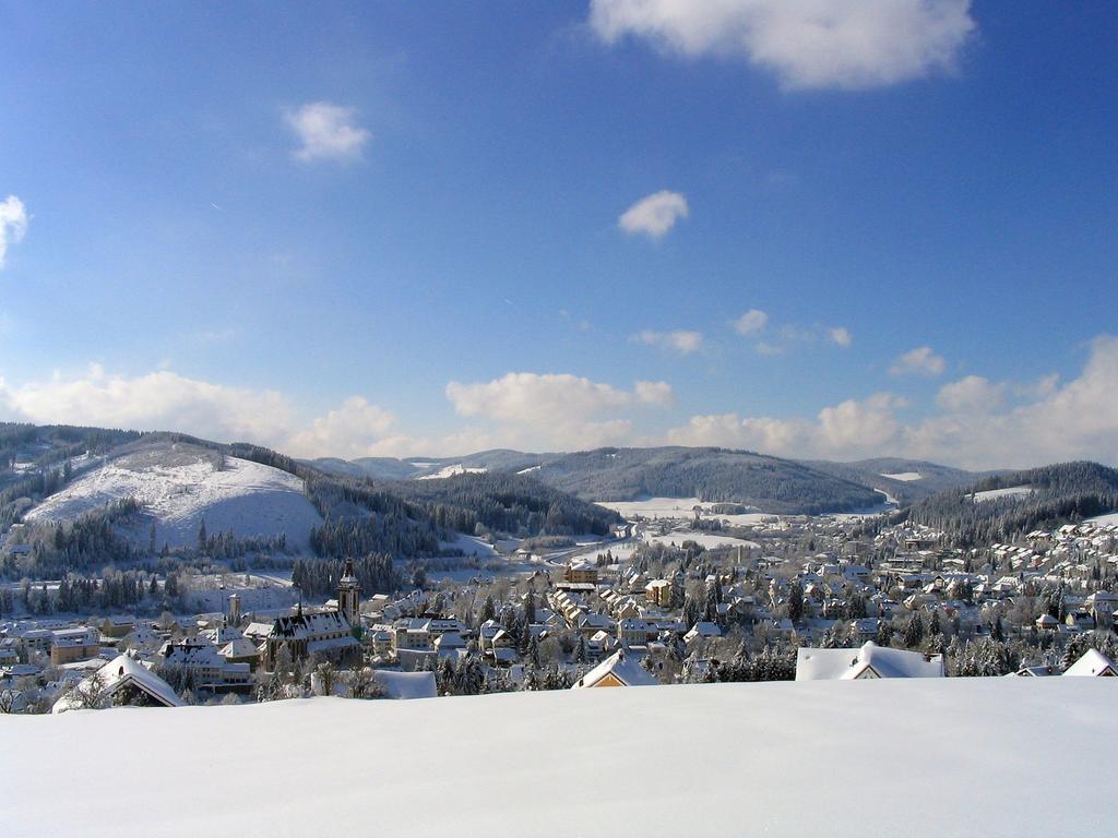 Ferienwohnung Am Eisweiher Titisee-Neustadt Eksteriør billede