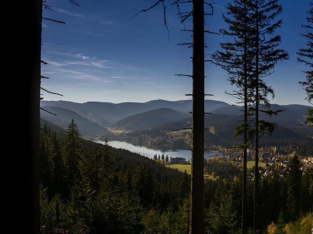 Ferienwohnung Am Eisweiher Titisee-Neustadt Eksteriør billede