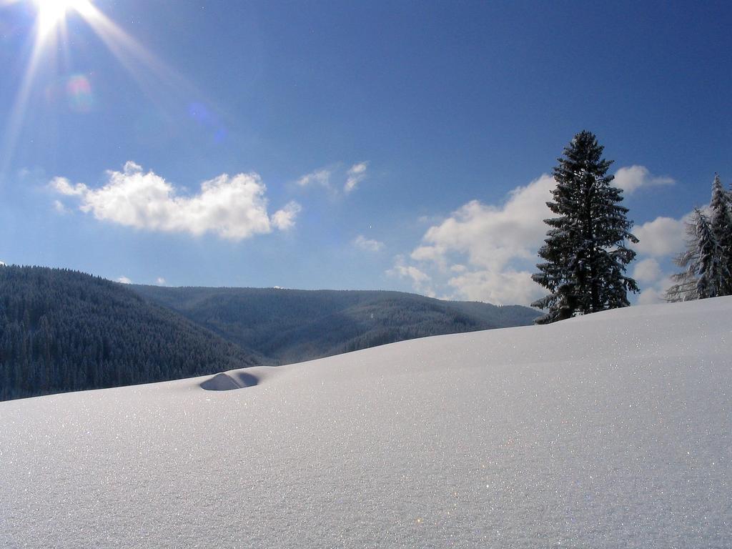 Ferienwohnung Am Eisweiher Titisee-Neustadt Eksteriør billede